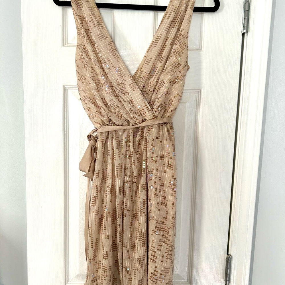 Elegant Beige/Gold Sequin Dress by Express